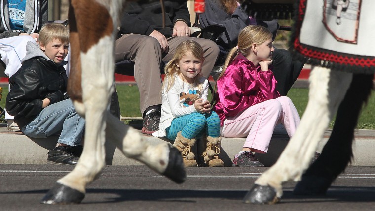 Ostrich Parade